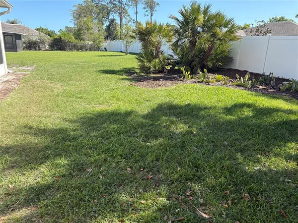 a view of a backyard with plants and trees