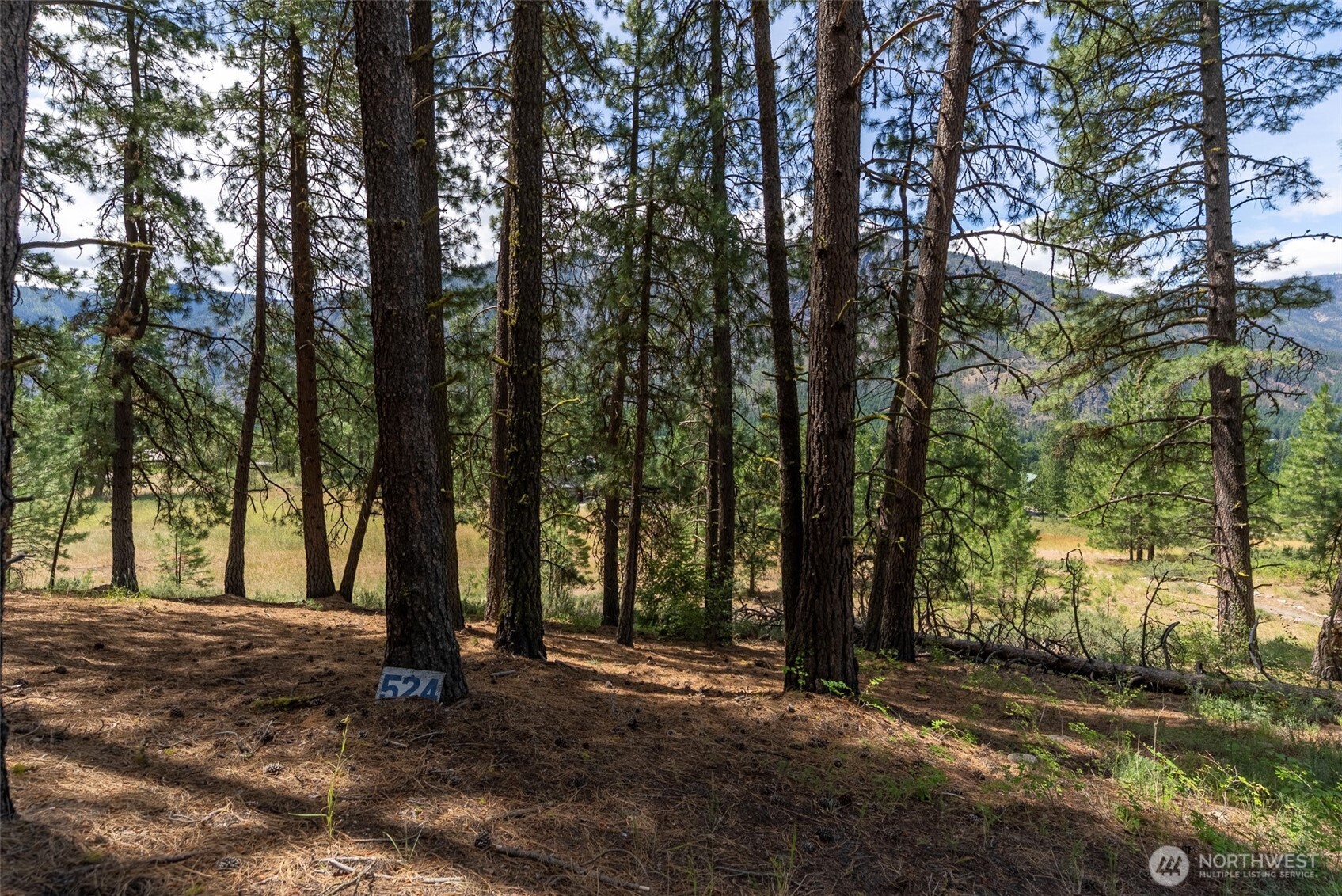 58 Homestead Road Winthrop, WA 98862 - Photo 15 of 22