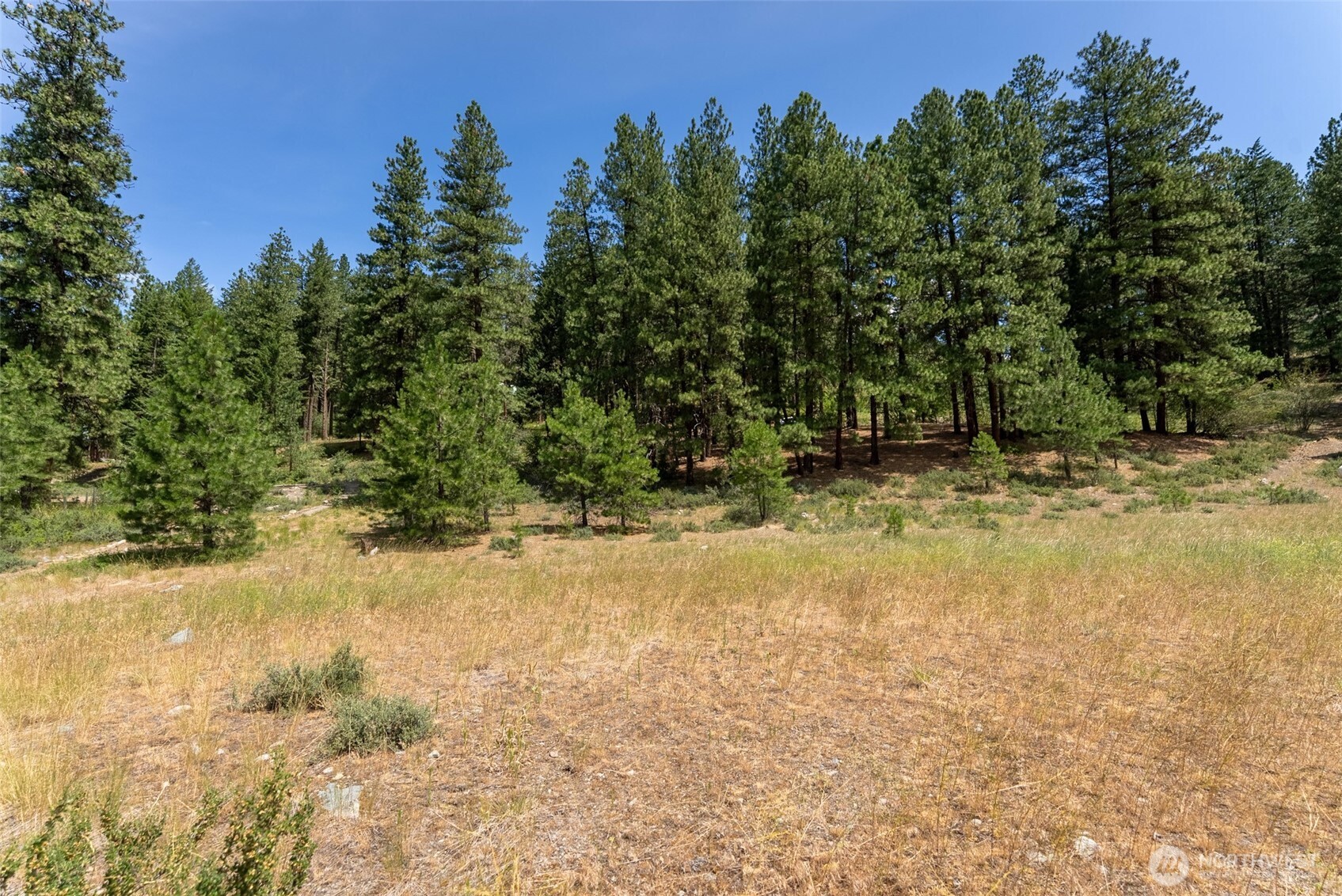 58 Homestead Road Winthrop, WA 98862 - Photo 17 of 22