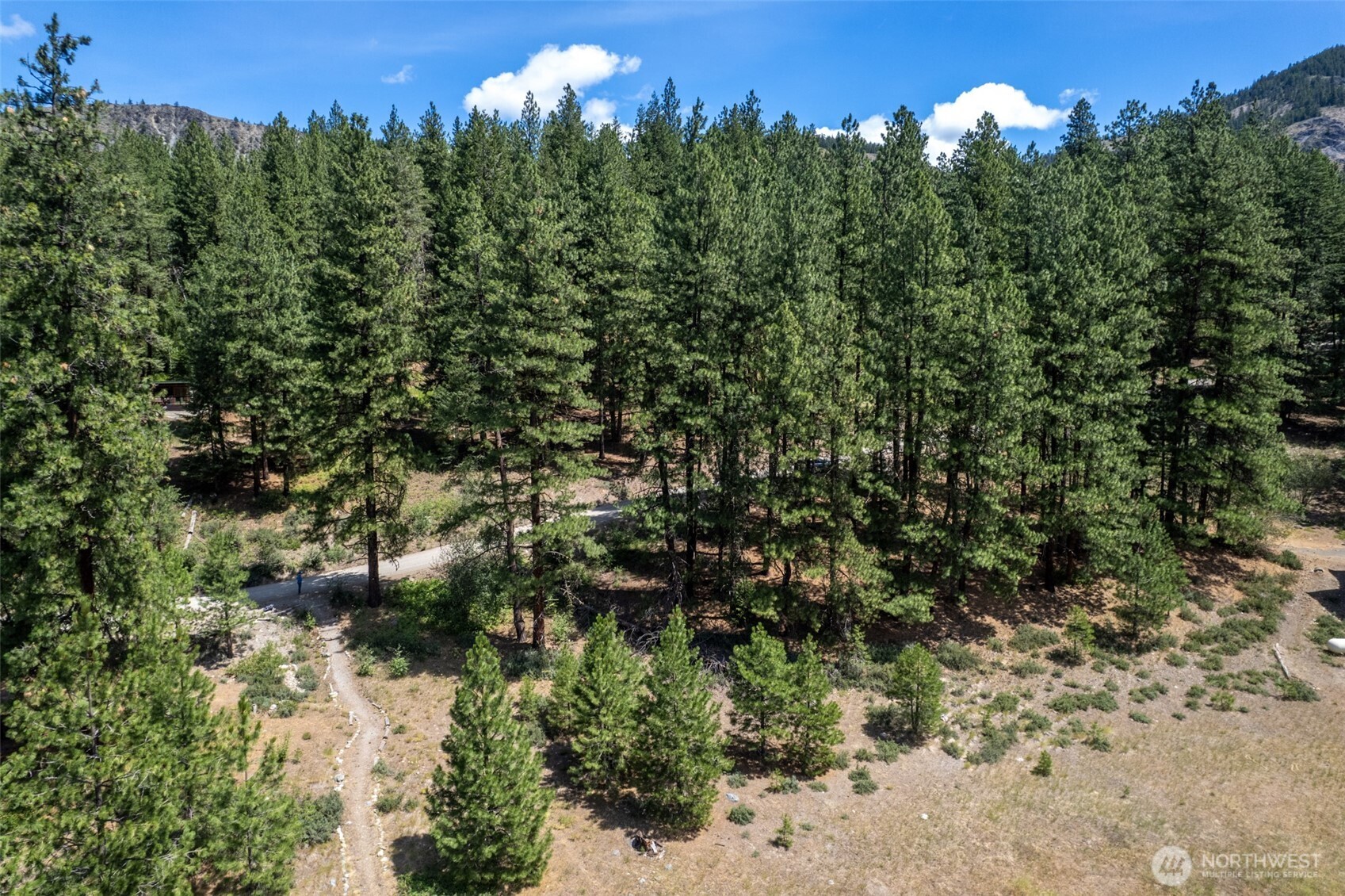 58 Homestead Road Winthrop, WA 98862 - Photo 9 of 22