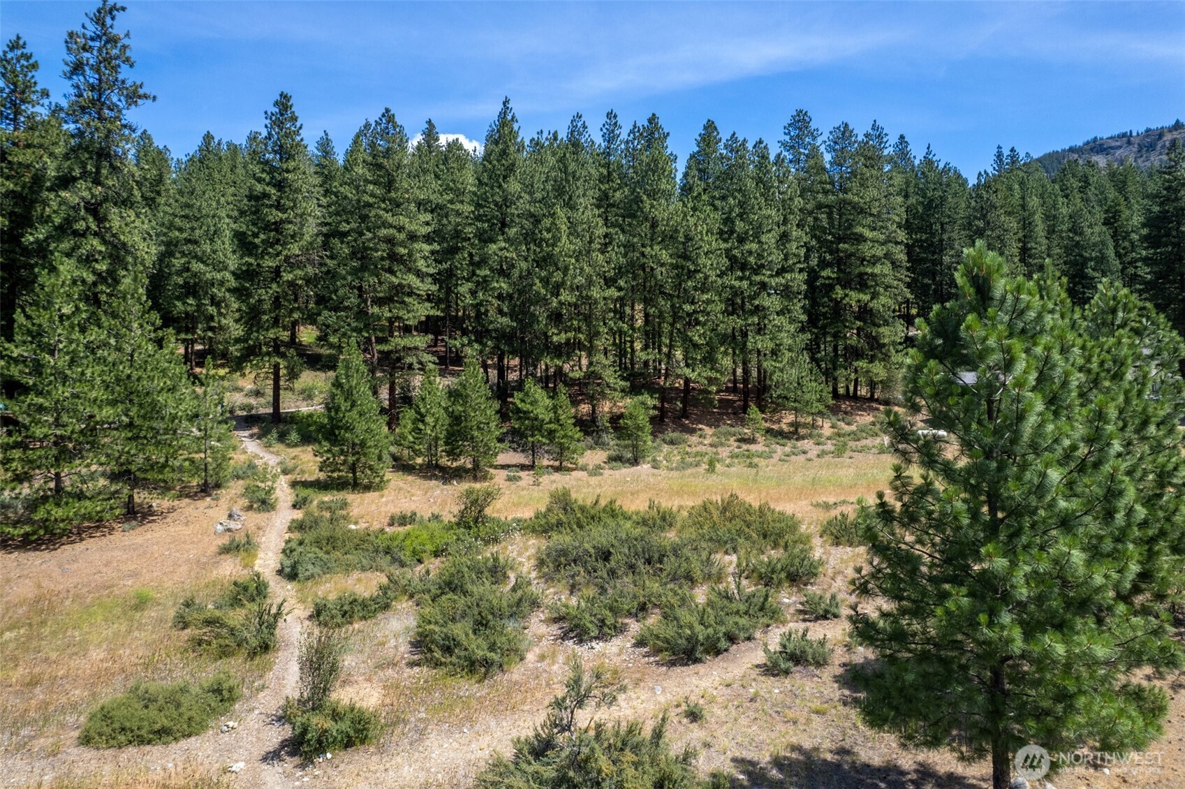 58 Homestead Road Winthrop, WA 98862 - Photo 10 of 22