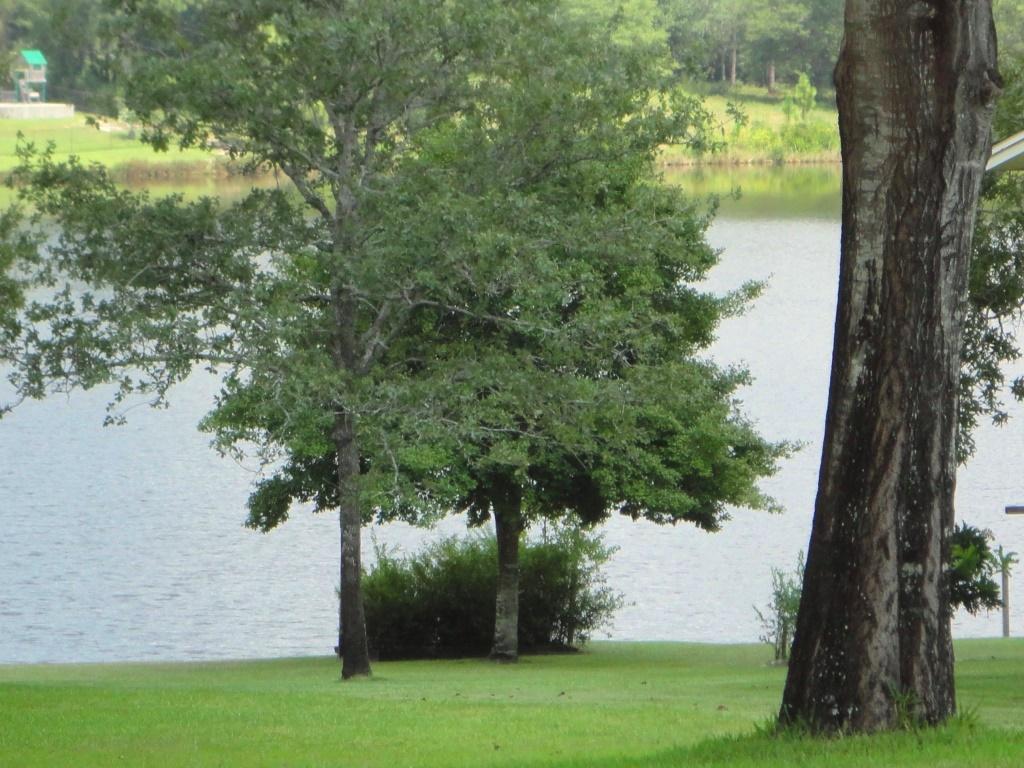 5520 Monterrey Road Crestview, FL 32539 - Photo 36 of 37 DSC04653