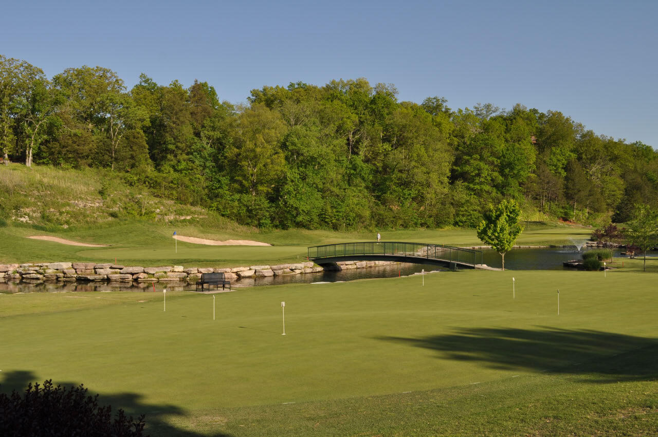 1261 Golf Drive, Unit 2 Reeds Spring, MO 65737 - Photo 61 of 72 Practice Green