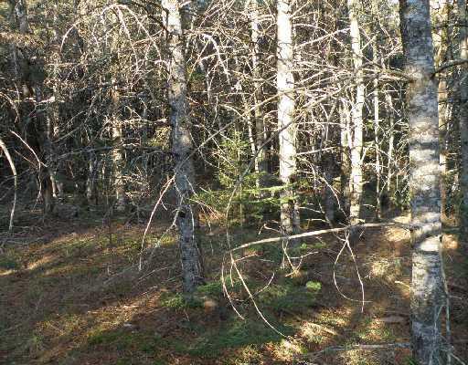 Lot 1 Swett Road Carmel, ME 04419 - Photo 2 of 6 Land.