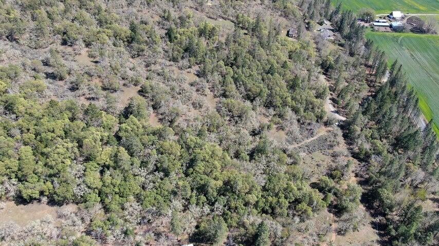 0 North Applegate Road Grants Pass, OR 97527 - Photo 8 of 14 20210411160413654316000000-o