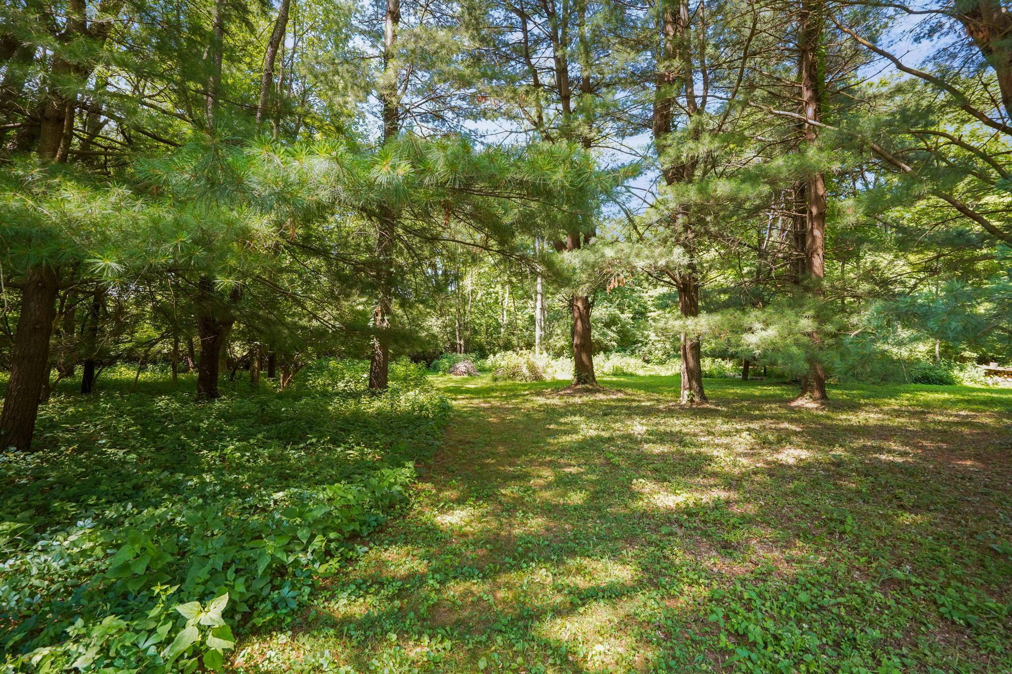 4595 St James Road Waldo, OH 43356 - Photo 26 of 83 50-web-or-mls-DSC08088