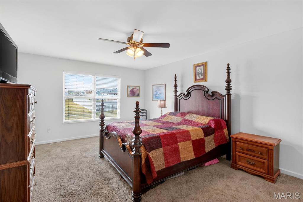 1126 Castle Green Drive Waterloo, IL 62298 - Photo 13 of 36
