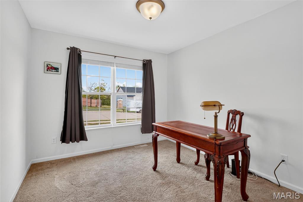 1126 Castle Green Drive Waterloo, IL 62298 - Photo 19 of 36