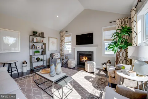 a living room with furniture a potted plant and a fireplace