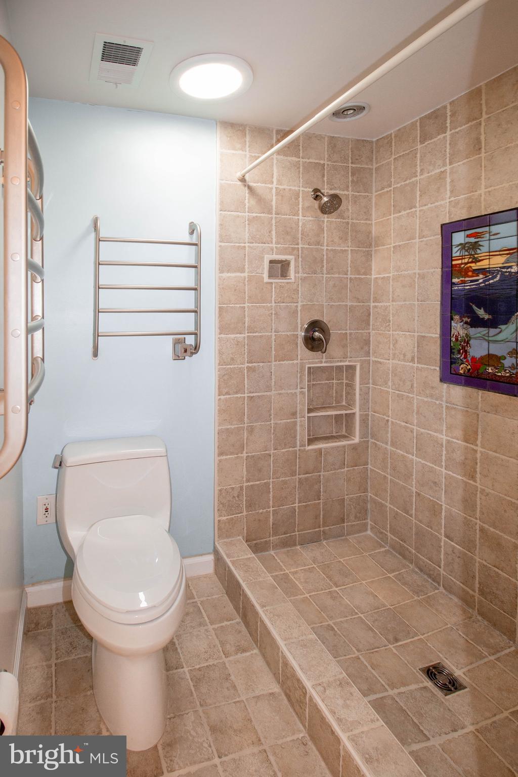 11660 Mediterranean Court Reston, VA 20190 - Photo 10 of 12 En suite w/ solar tubes, heated floors & towel rk