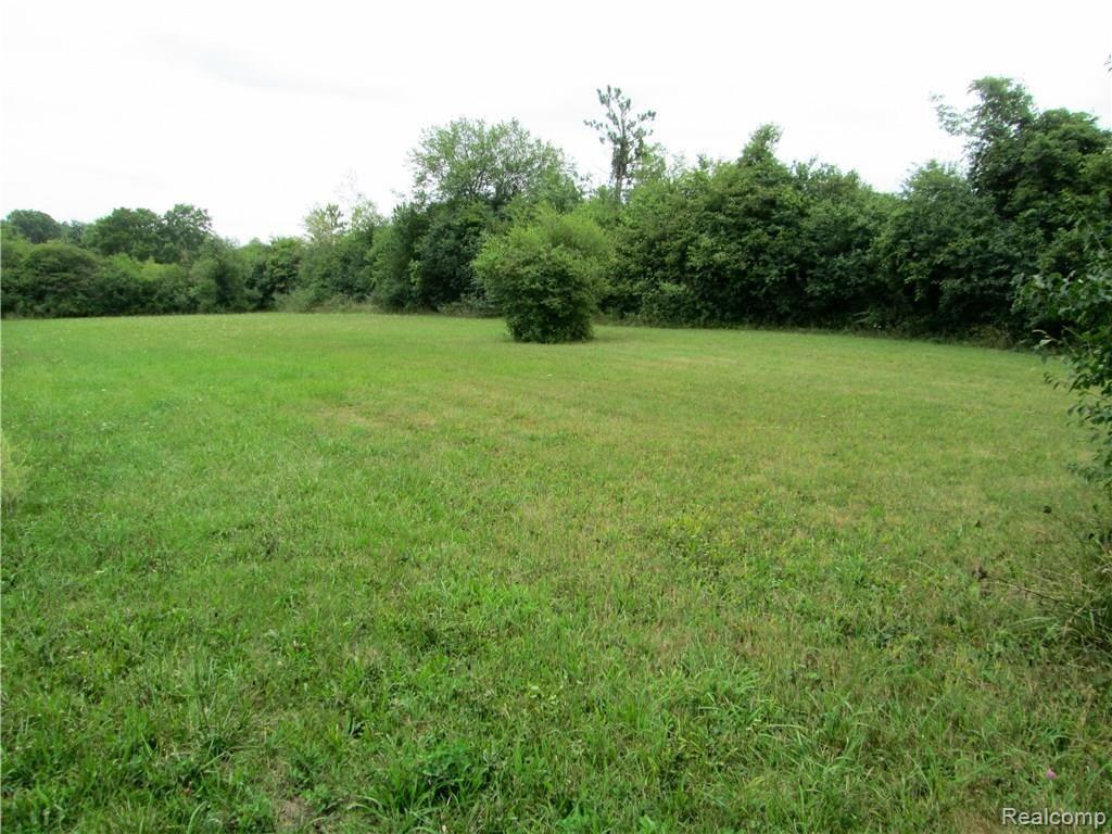 5905 Hitchingham Road Ypsilanti, MI 48197 - Photo 30 of 32 View of back of lot