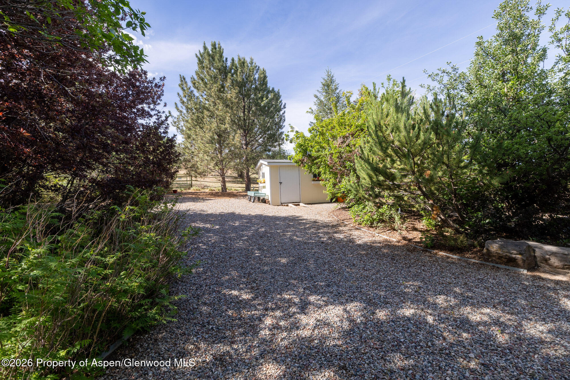 1335 Firethorn Drive Rifle, CO 81650 - Photo 28 of 30 a view of a yard with plants and large trees