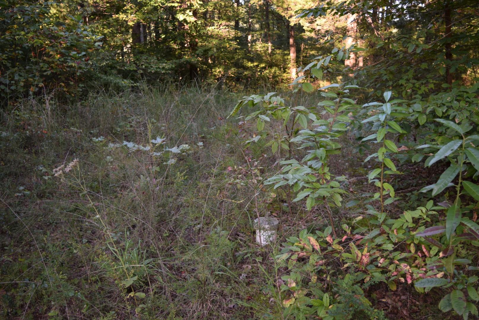 1010 Harrison Branch Road Manchester, TN 37355 - Photo 1 of 12