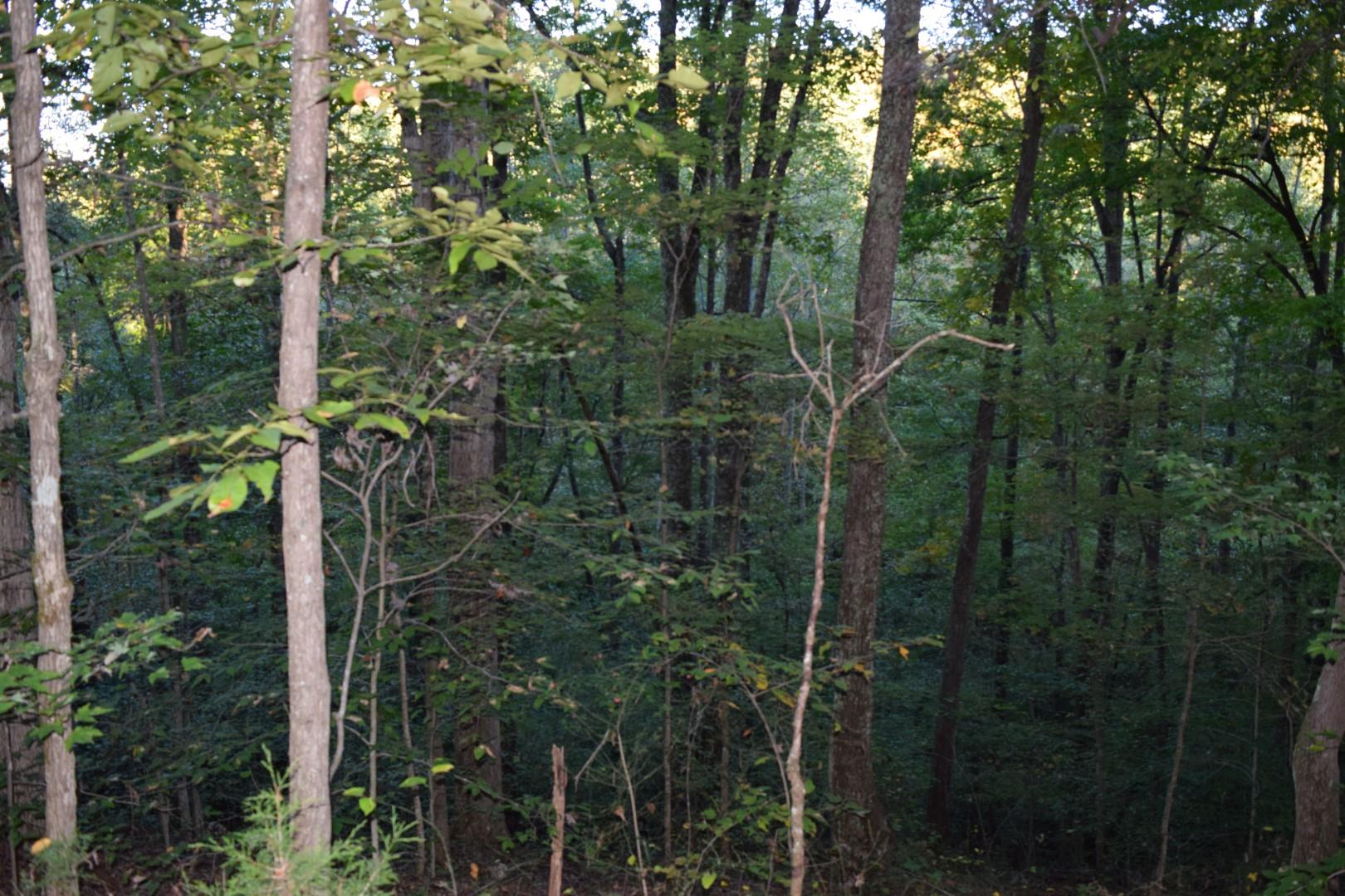 1010 Harrison Branch Road Manchester, TN 37355 - Photo 11 of 12