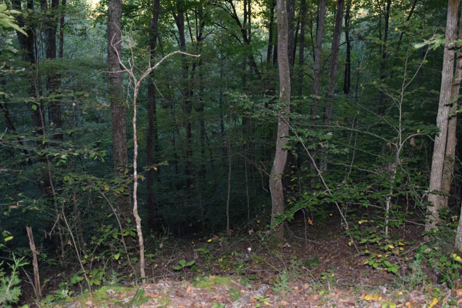 1010 Harrison Branch Road Manchester, TN 37355 - Photo 12 of 12