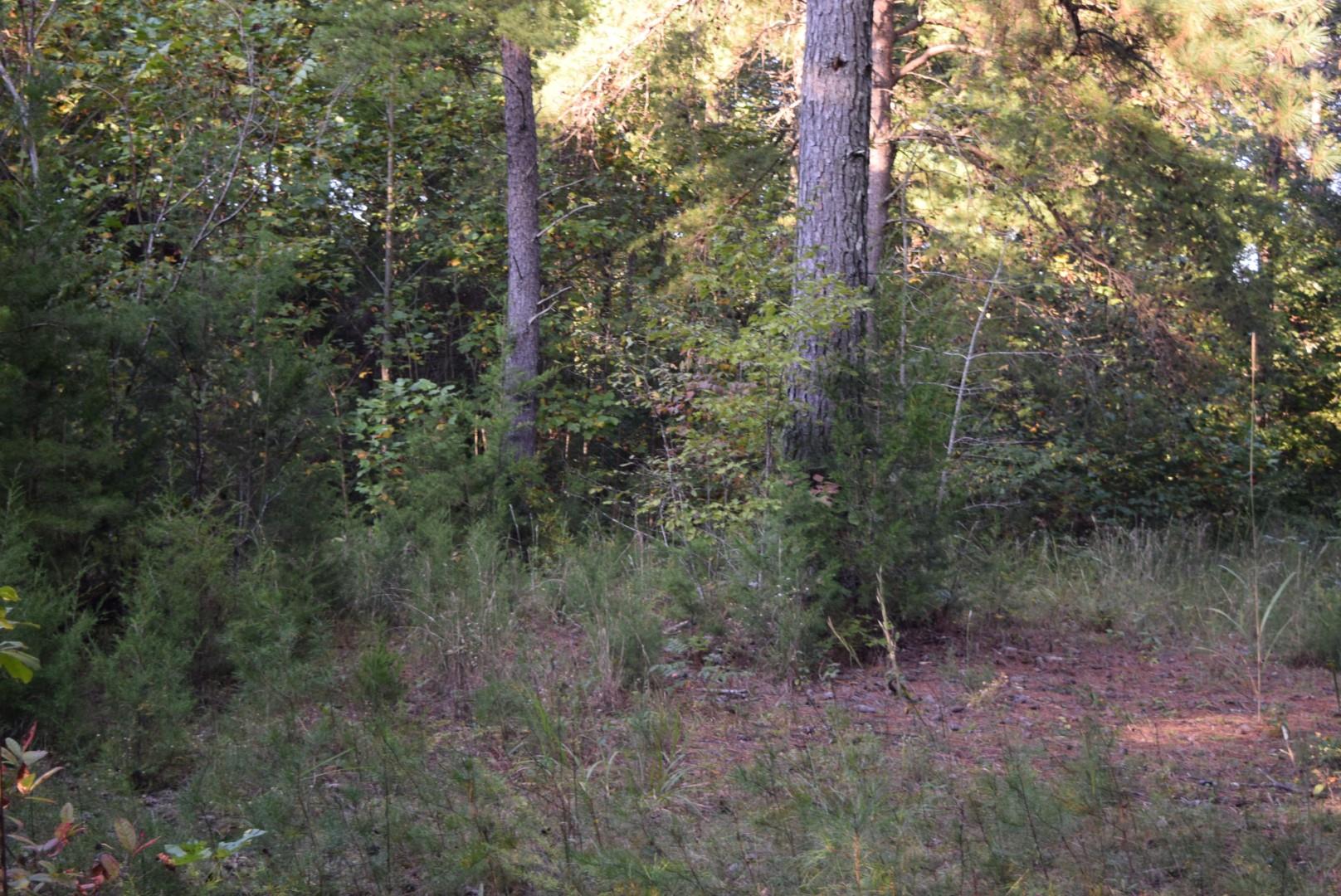1010 Harrison Branch Road Manchester, TN 37355 - Photo 6 of 12