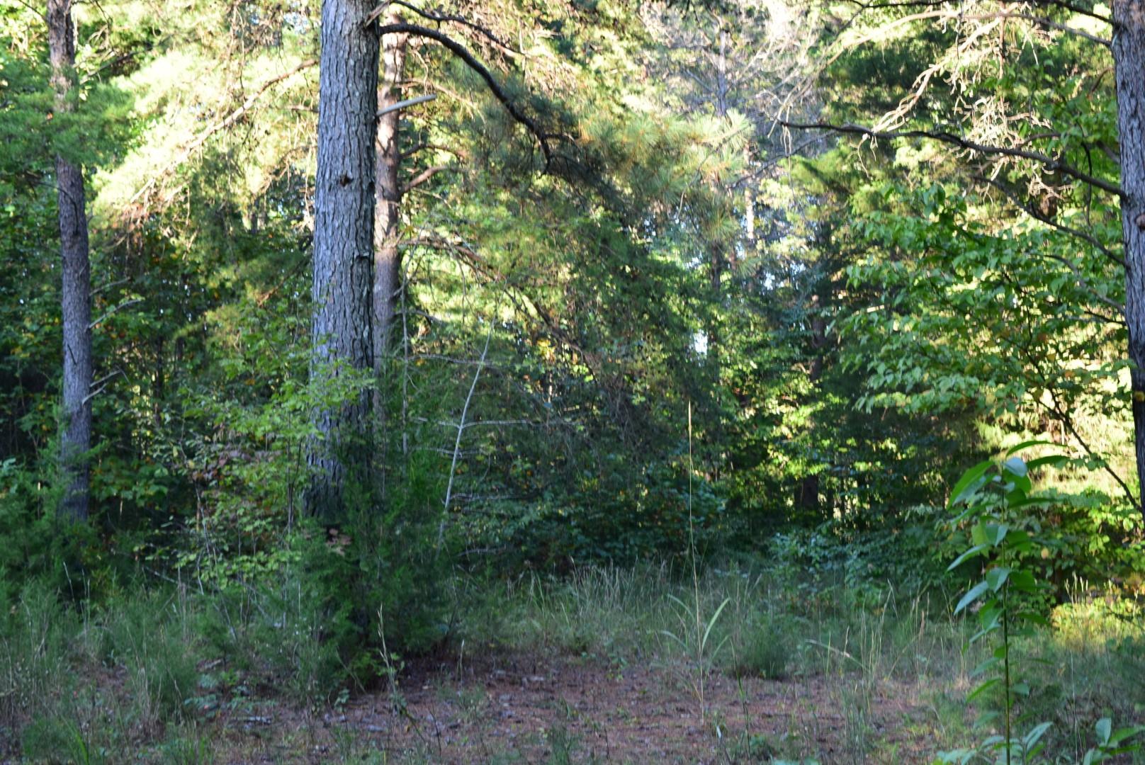 1010 Harrison Branch Road Manchester, TN 37355 - Photo 7 of 12