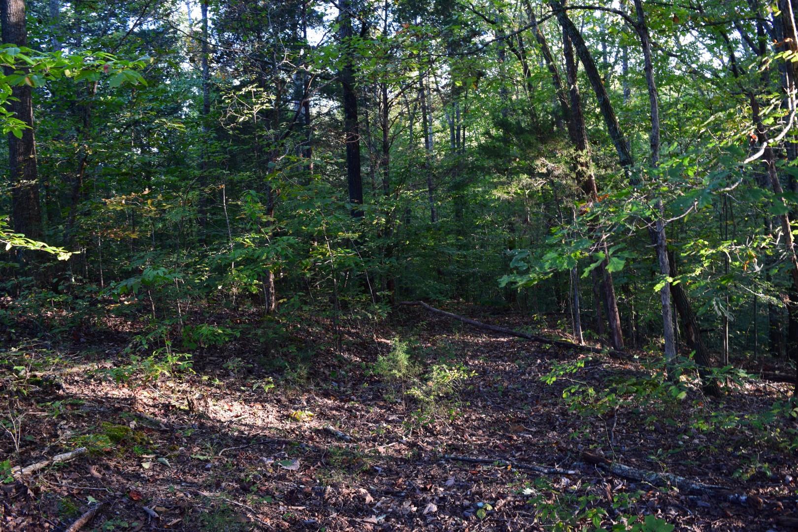 1010 Harrison Branch Road Manchester, TN 37355 - Photo 10 of 12