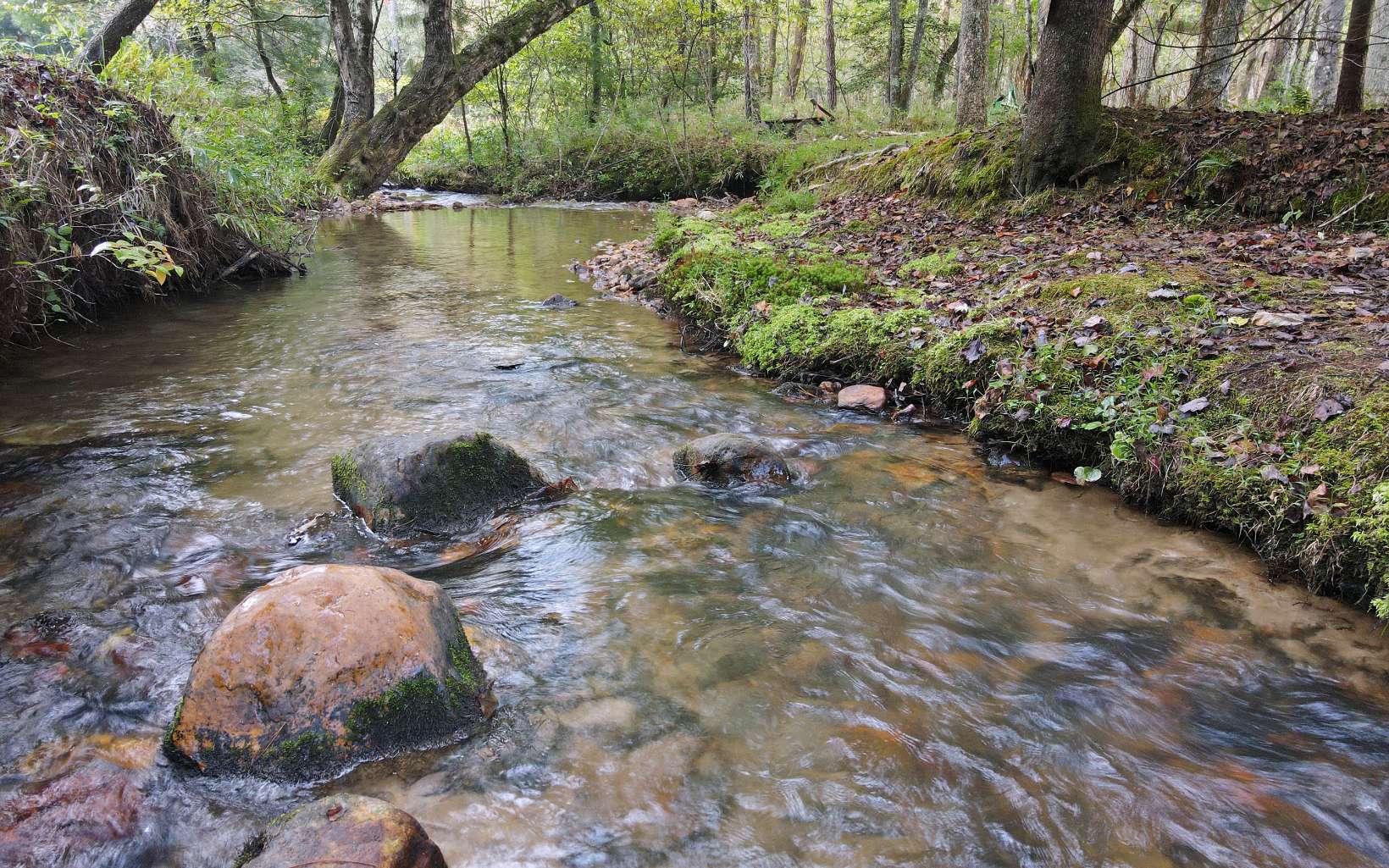 124 Old Indian Trail Blue Ridge, GA 30513 - Photo 2 of 4 Additional View