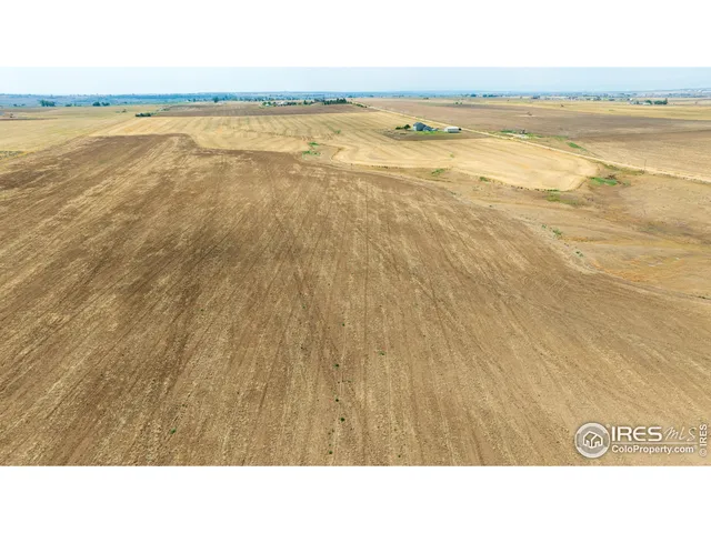 a black and white photo of a beach