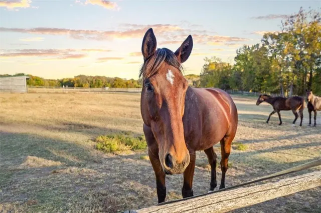 $2,750,000 | 5947 West 167th Street, Stilwell, KS 66085