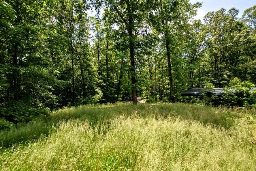799 Roddy Road Spring City, TN 37381 - Photo 4 of 7 Gallery Image 4