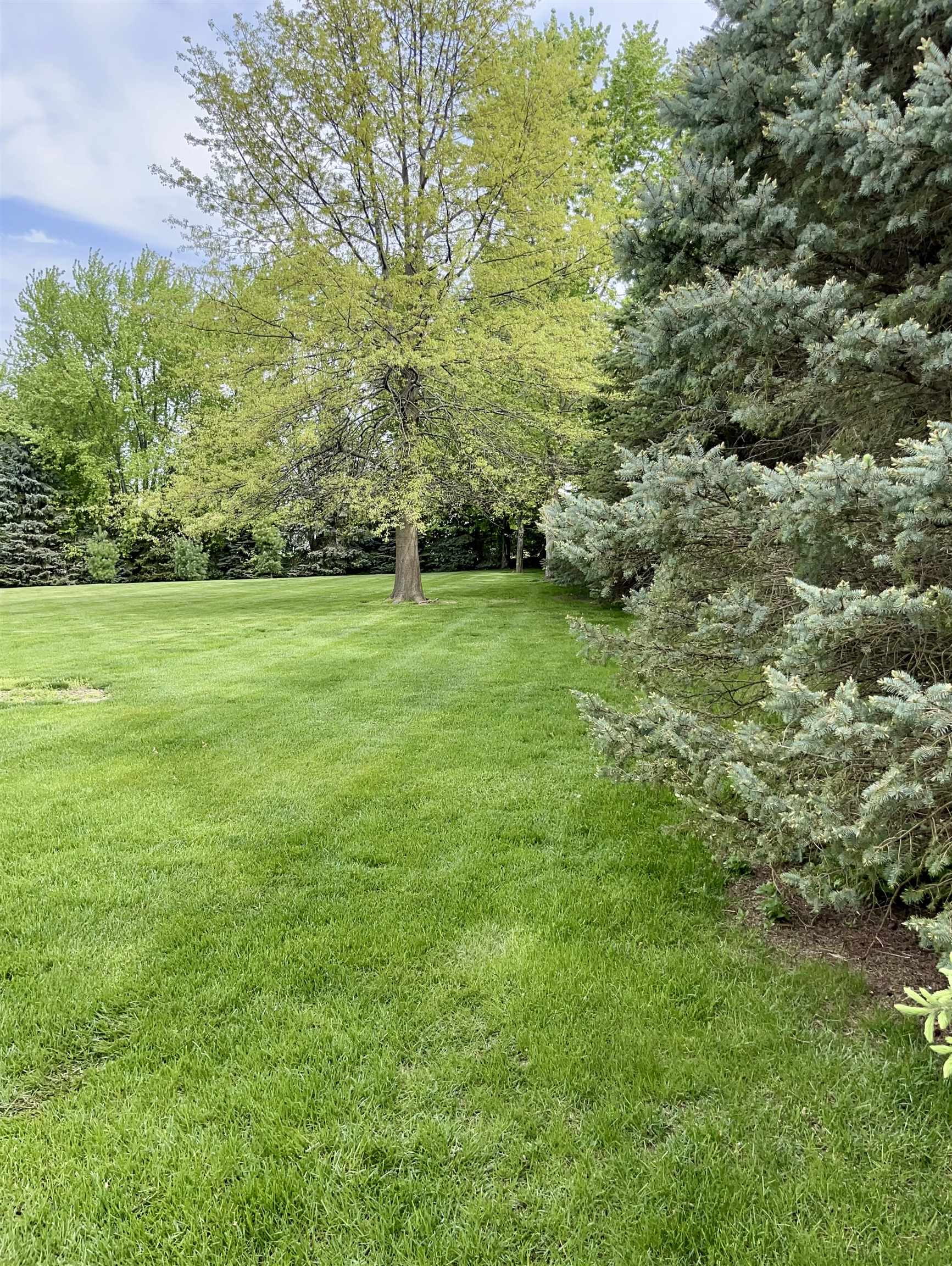 234 High Ridge Trail Rockford, IL 61107 - Photo 11 of 34 Gallery Image 11