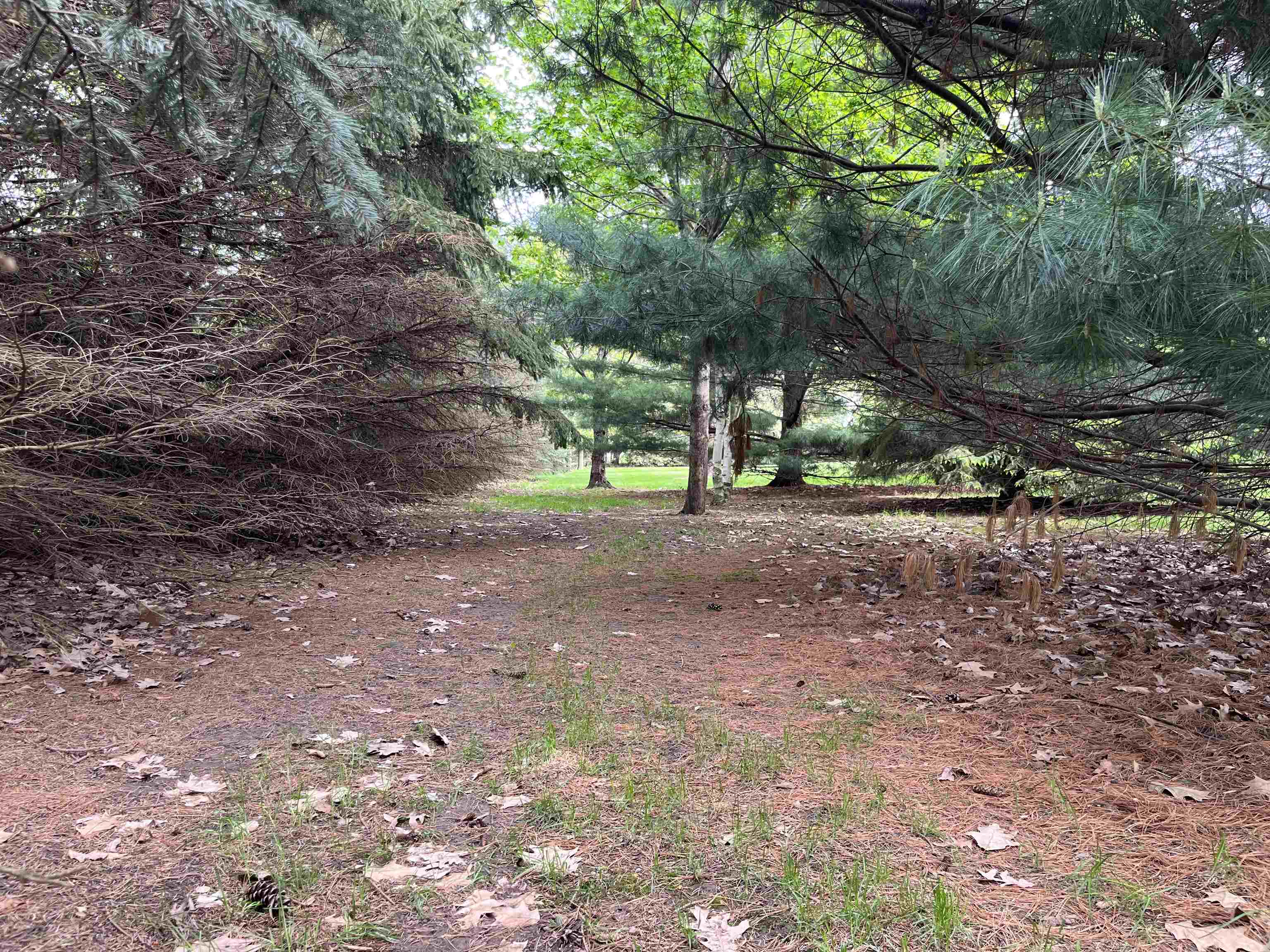 234 High Ridge Trail Rockford, IL 61107 - Photo 15 of 34 Gallery Image 15