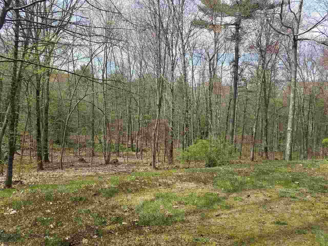 453 Pingree Hill Road Auburn, NH 03032 - Photo 4 of 37 Gallery Image 4