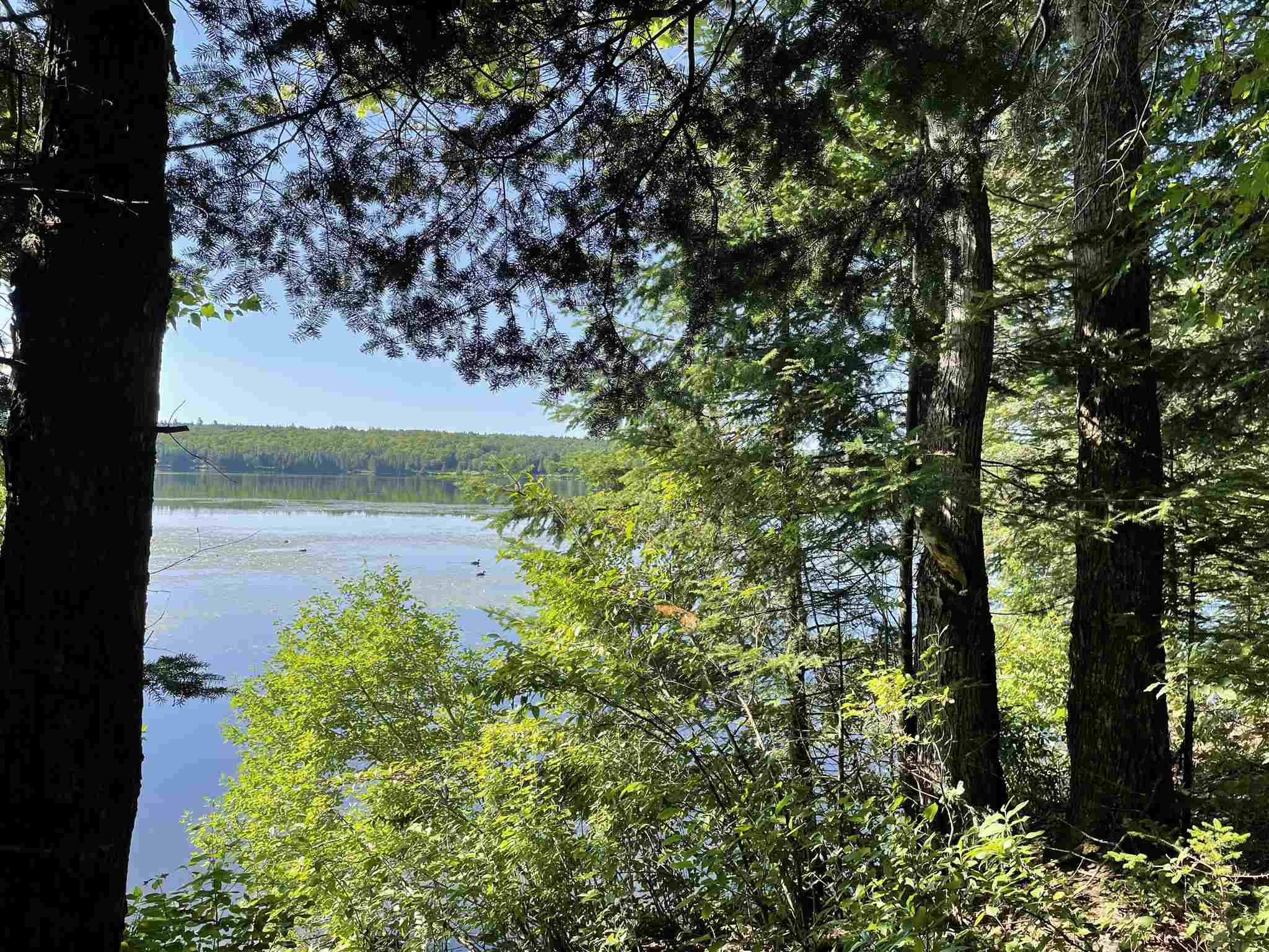 618 Back Lake Road Pittsburg, NH 03592 - Photo 4 of 10