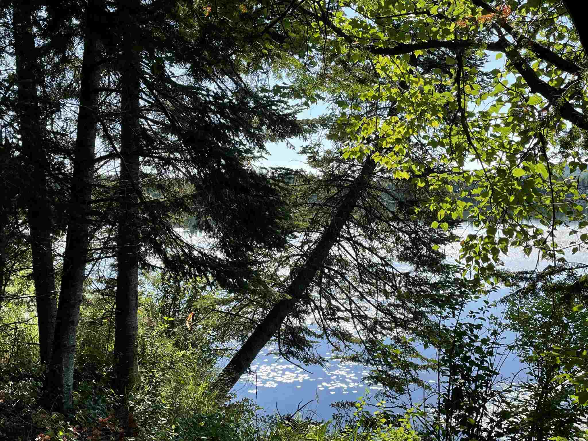 618 Back Lake Road Pittsburg, NH 03592 - Photo 5 of 10