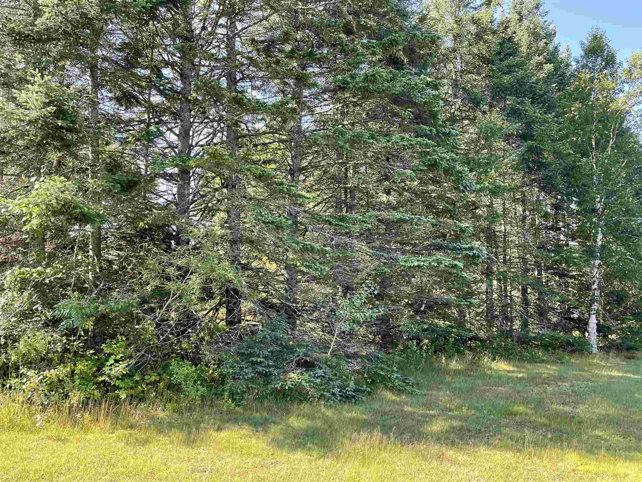 618 Back Lake Road Pittsburg, NH 03592 - Photo 7 of 10