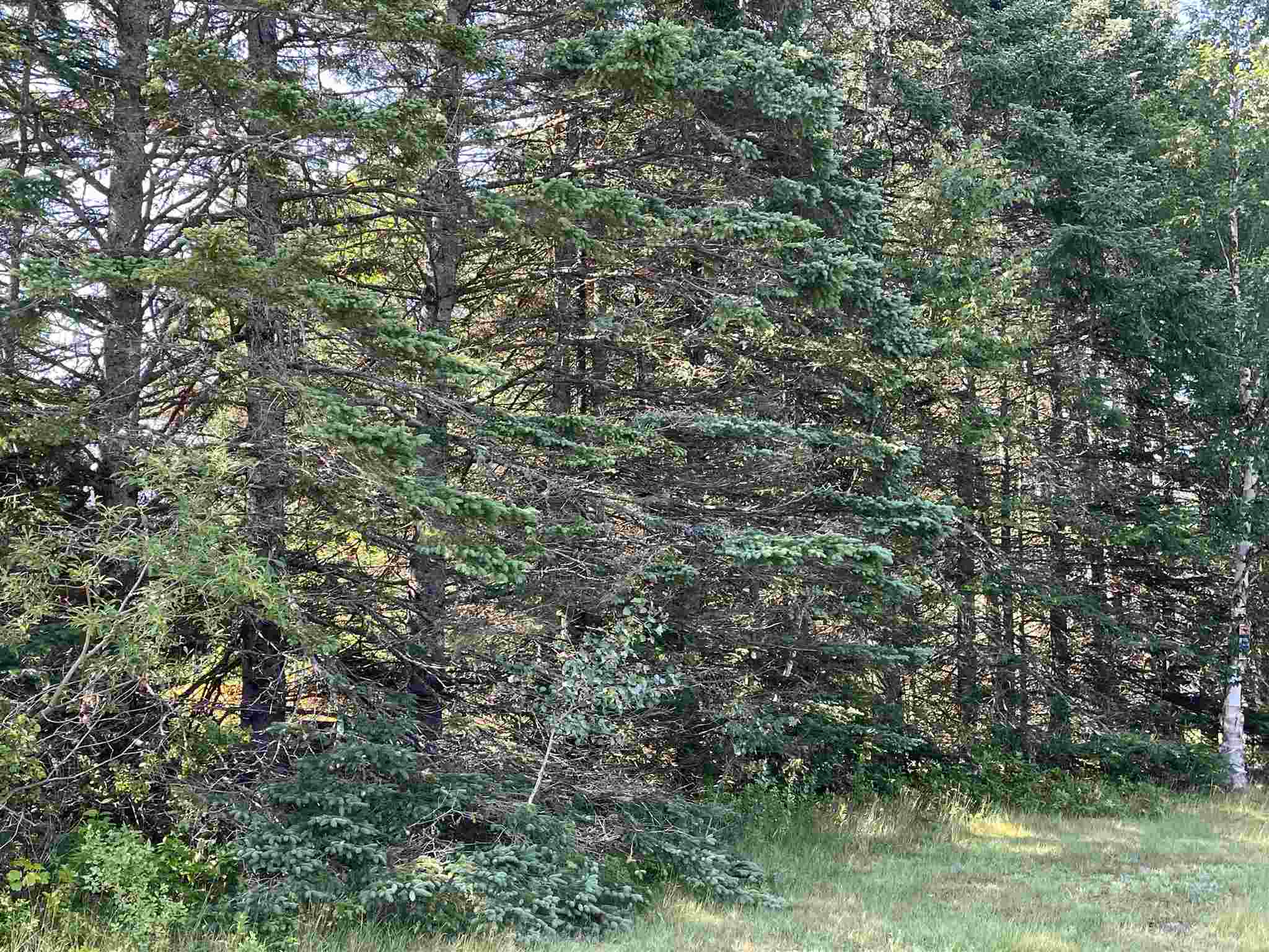 618 Back Lake Road Pittsburg, NH 03592 - Photo 8 of 10