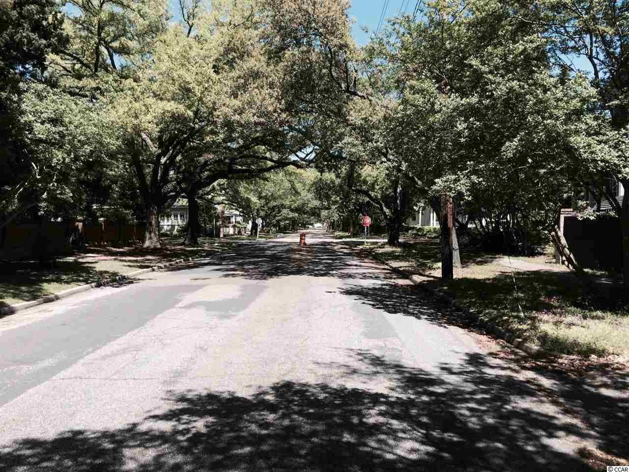 118 Queen Street Georgetown, SC 29440 - Photo 17 of 17