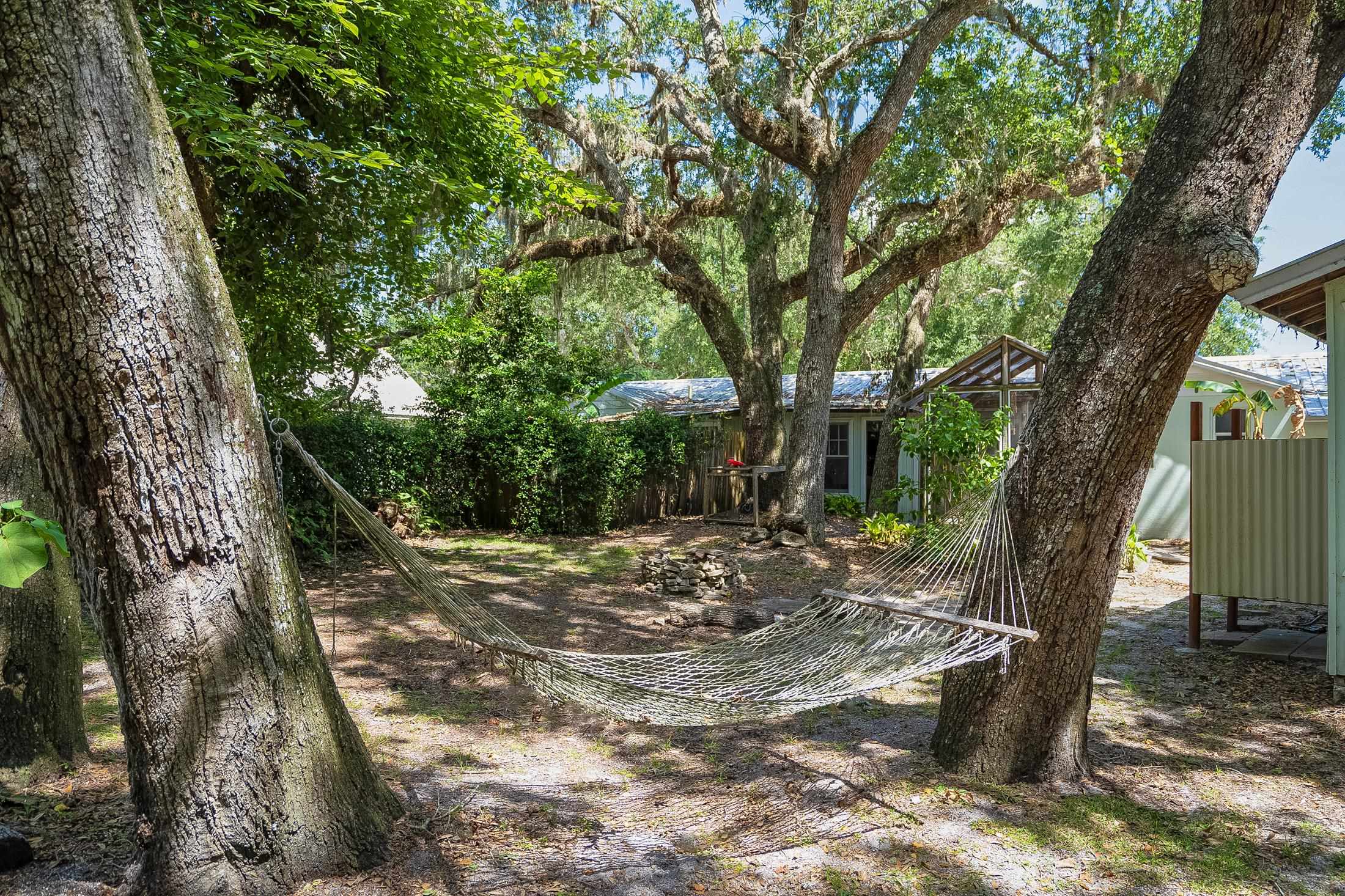 490 Pyrus Street St. Augustine, FL 32080 - Photo 3 of 35 a view of a tree in the middle of a yard