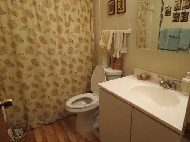 a bathroom with a sink and a toilet