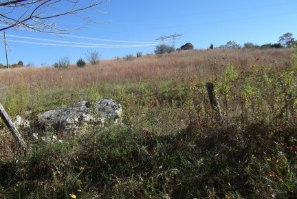 1084 Alum Ridge Road Northwest Willis, VA 24380 - Photo 3 of 24 Bruce-1