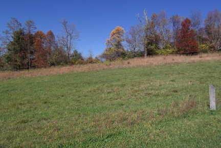 1084 Alum Ridge Road Northwest Willis, VA 24380 - Photo 22 of 24 Bruce-YD