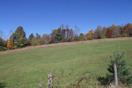 1084 Alum Ridge Road Northwest Willis, VA 24380 - Photo 24 of 24 Bruce-YD2