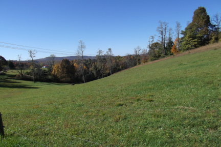 1084 Alum Ridge Road Northwest Willis, VA 24380 - Photo 5 of 24 Bruce-Ac
