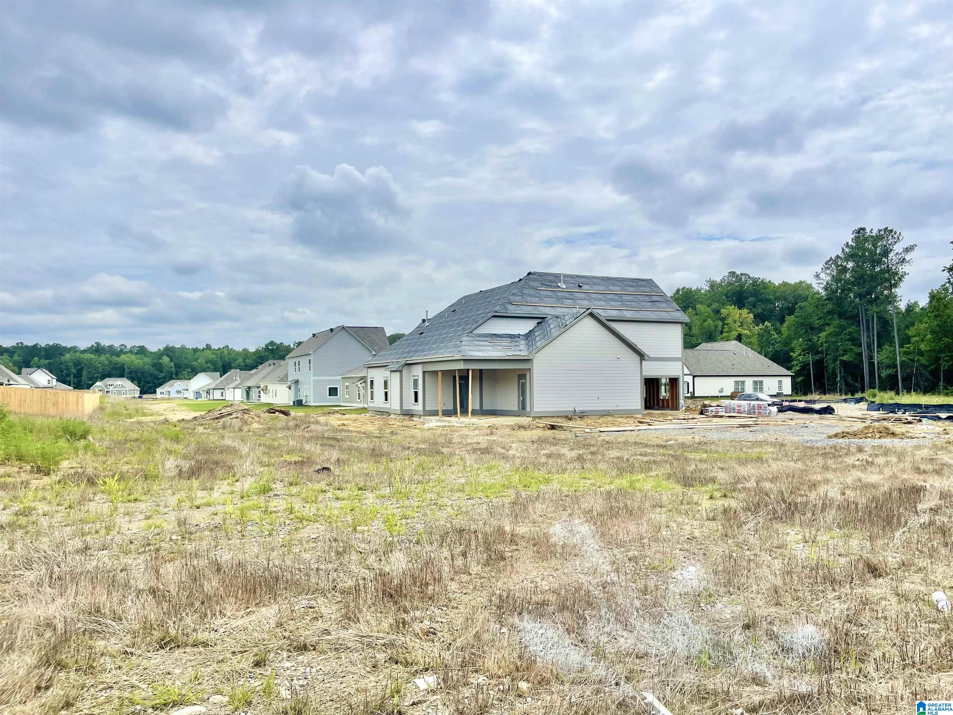 4000 Baxter Avenue Springville, AL 35146 - Photo 10 of 58