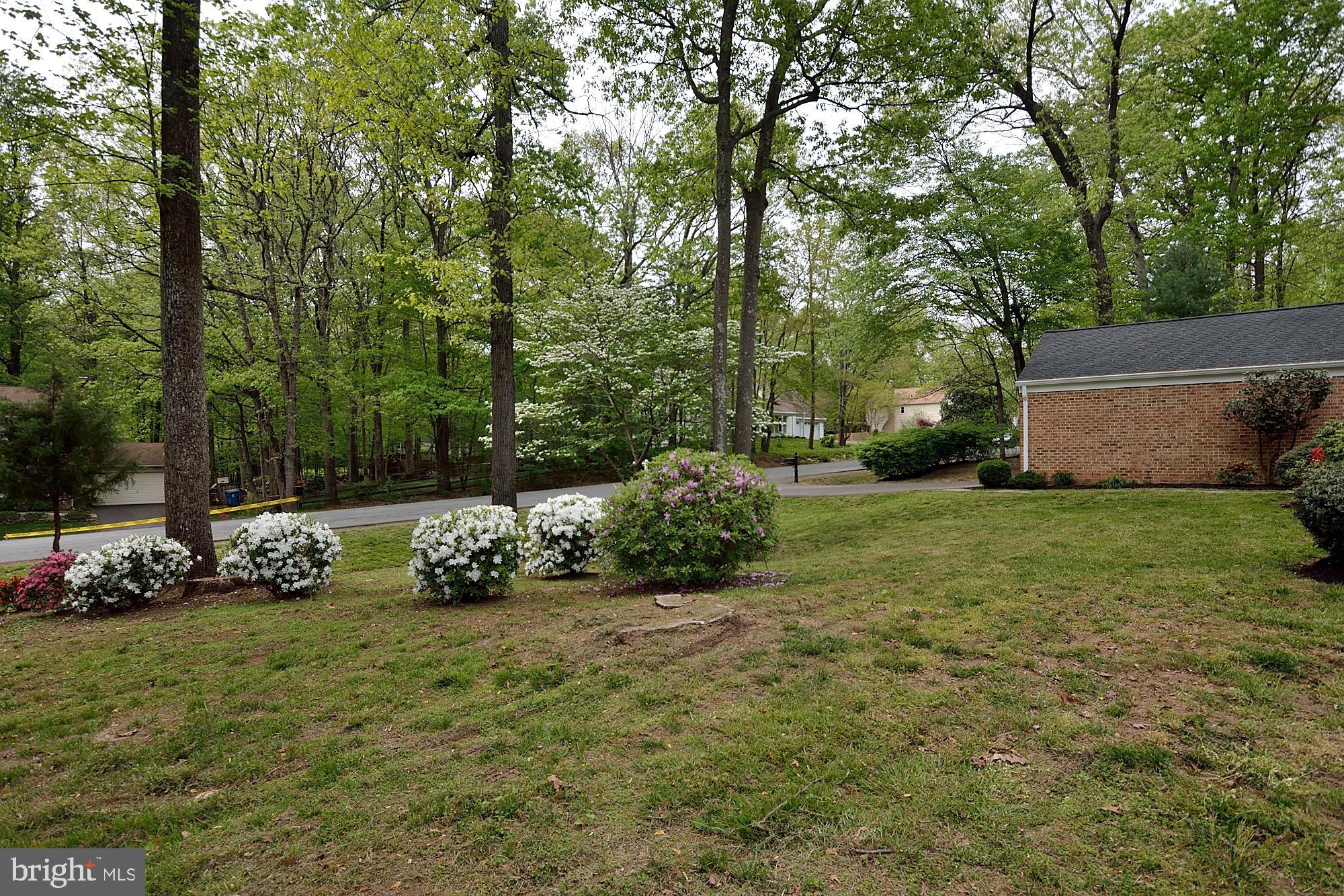 5029 Pheasant Ridge Road Fairfax, VA 22030 - Photo 6 of 40 Gallery Image 6