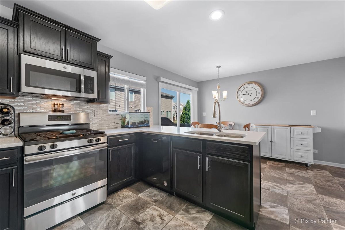 1664 Ruby Drive Pingree Grove, IL 60140 - Photo 17 of 50