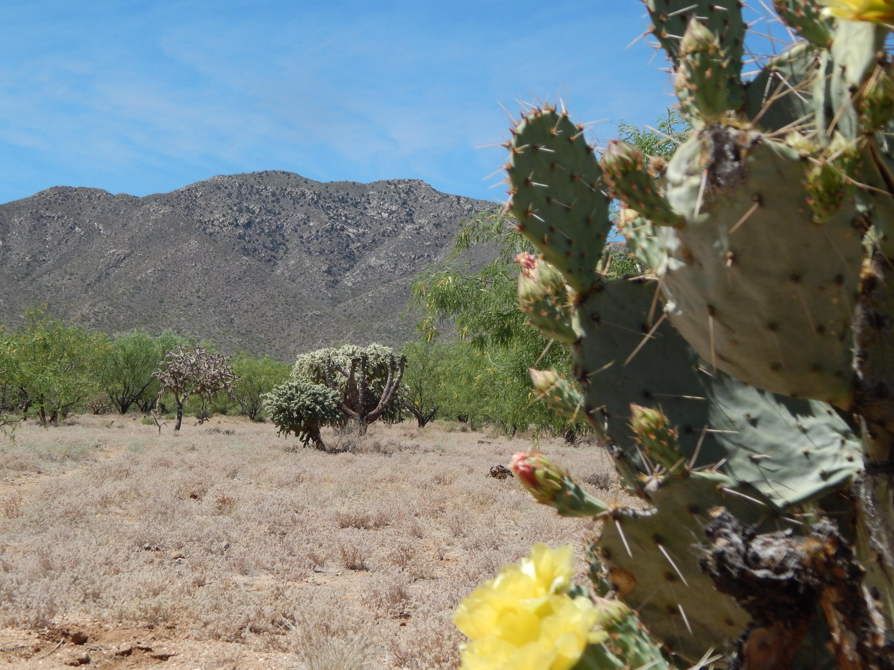 23400 West Ressie Road, Unit 98 Tucson, AZ 85735 - Photo 22 of 36