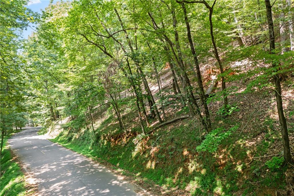 37 Petit Ridge Drive Big Canoe, GA 30143 - Photo 6 of 28