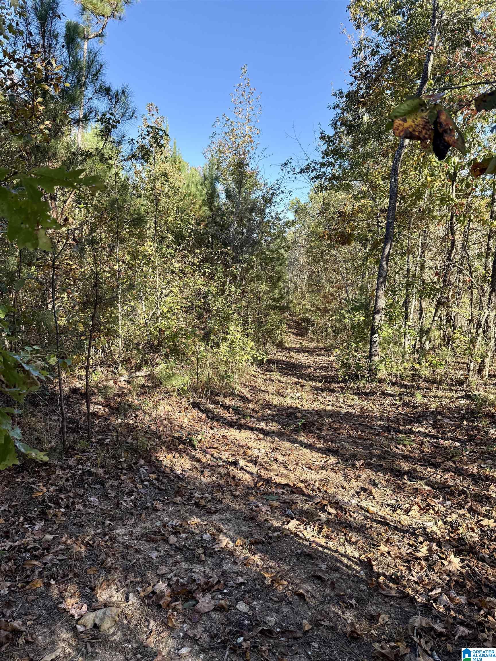 7070 Rendalia Motorway Talladega, AL 35160 - Photo 21 of 28