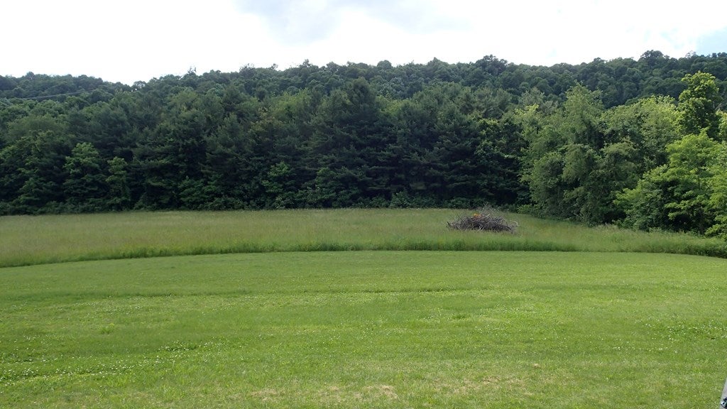 21004 Shore Valley Road Three Springs, PA 17264 - Photo 39 of 48 Gallery Image 39