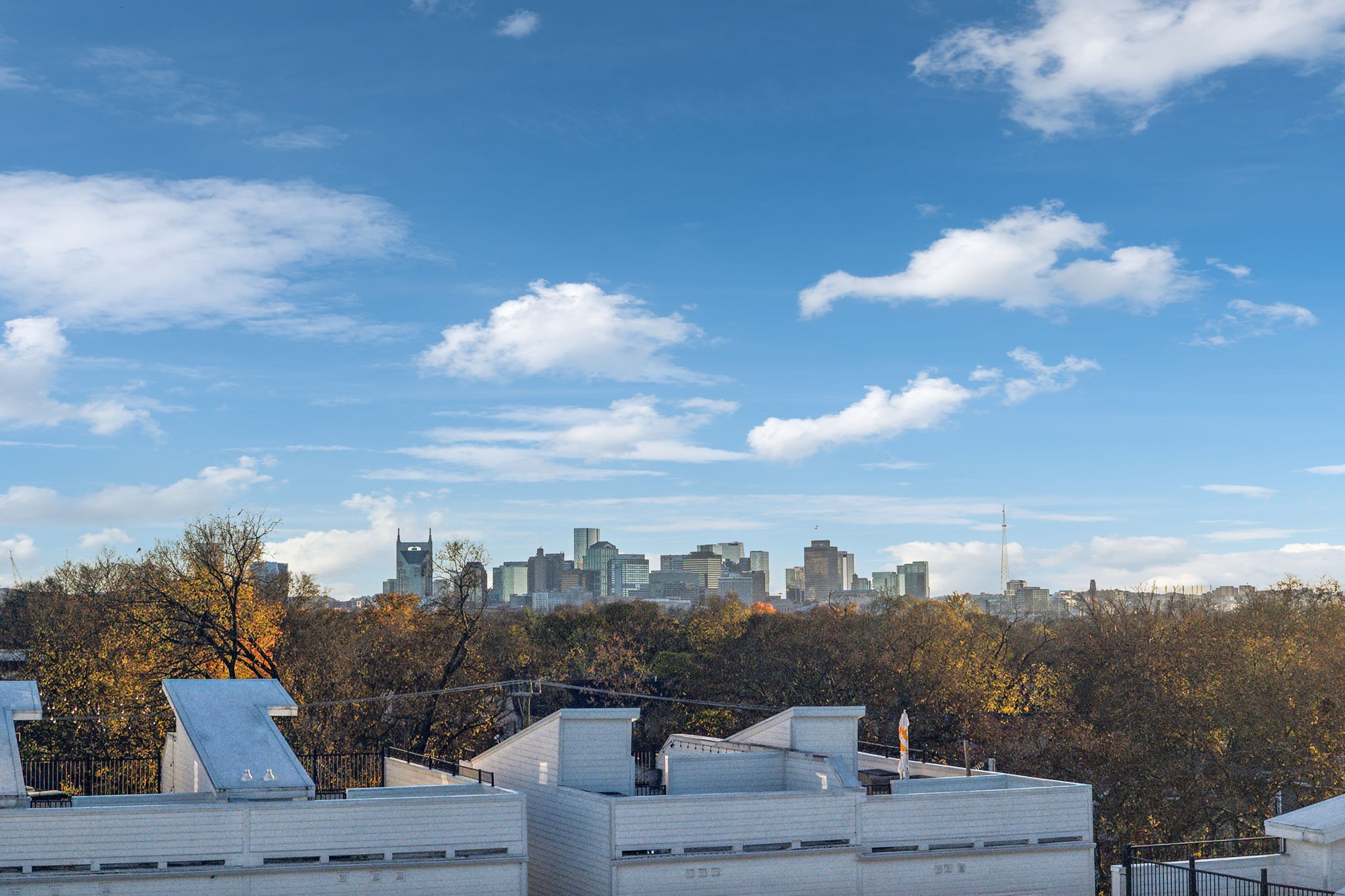 1310 Lischey Avenue, Unit 306 Nashville, TN 37207 - Photo 52 of 58