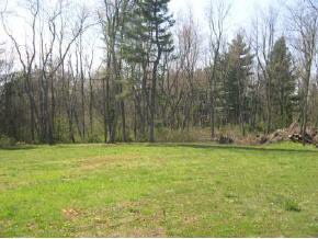 788 Oak Grove Church Road Waynesboro, VA 22980 - Photo 7 of 7 Gallery Image 7