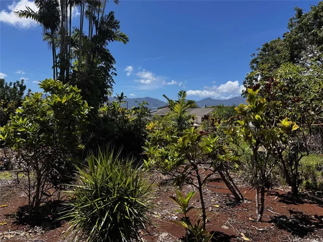 a picture of flowers